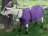 Goat Coat